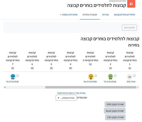 הורדת ההשתבצות לקבוצות לקובץ אקסל.jpg